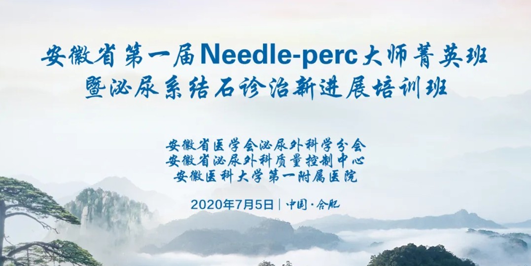 安徽省第一屆 Needle-perc大師菁英班暨泌尿系結石診治新進展培訓班成功舉辦